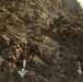 Marines Rappel Training