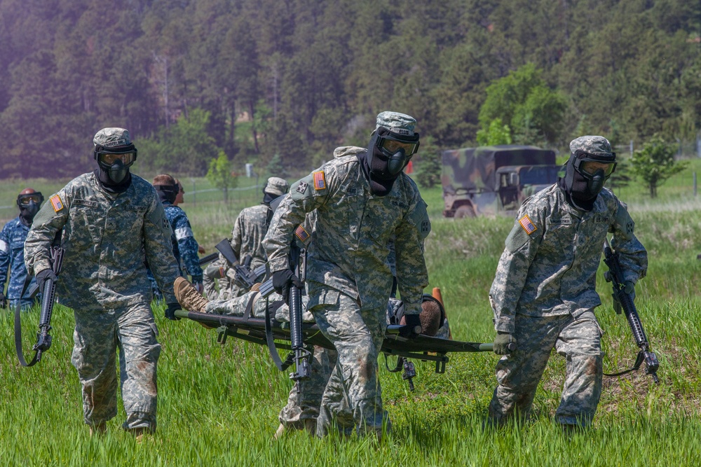 Golden Coyote Exercise 2015