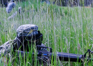 Golden Coyote Exercise 2015