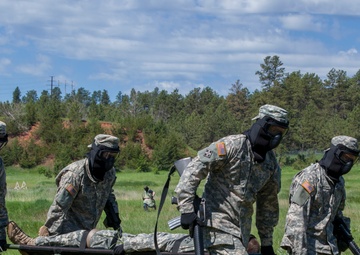 Golden Coyote Exercise 2015
