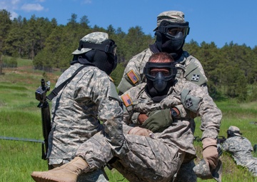 Golden Coyote Exercise 2015