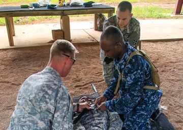 Golden Coyote Exercise 2015