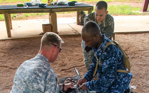 Golden Coyote Exercise 2015