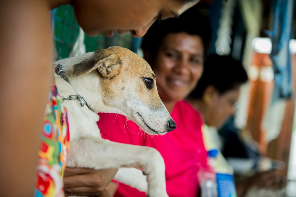 Pacific Partnership 2015 veterinary personnel treat Fijian pets at animal clinic