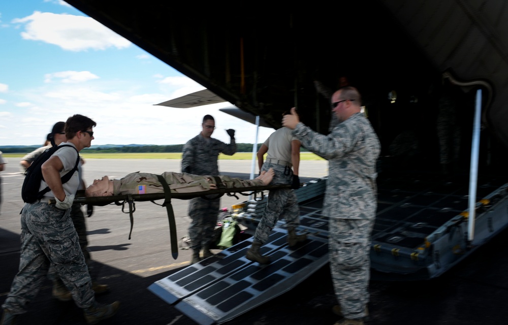 Patriot Warrior 2015/Global Lightning/Global Medic 15/Quartermaster Logistics Exercise 15