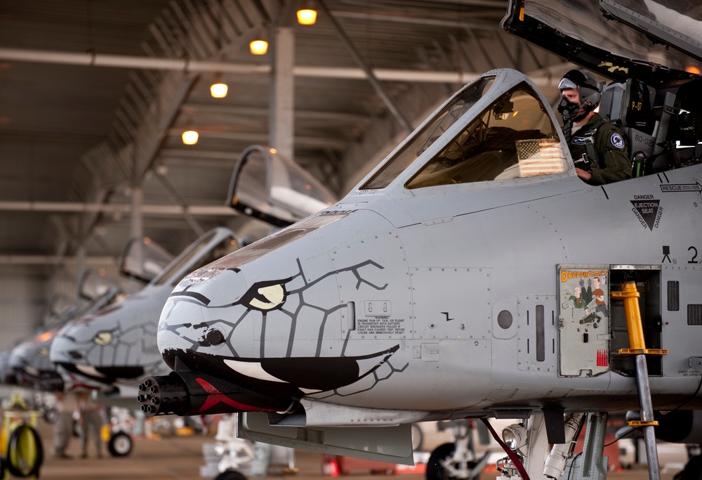 Warthog pilot prepares for mission