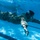 U.S. Marines dive into water survival training