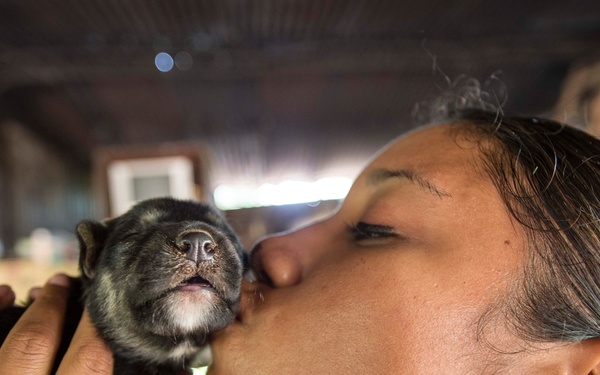 Continuing Promise 2015