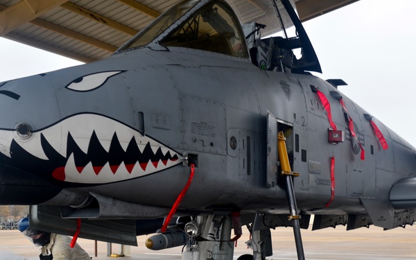 Green Flag conducts joint unit training