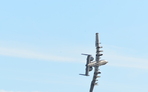 Green Flag conducts joint unit training