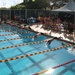 Swimmers compete for 101 Days of Summer glory