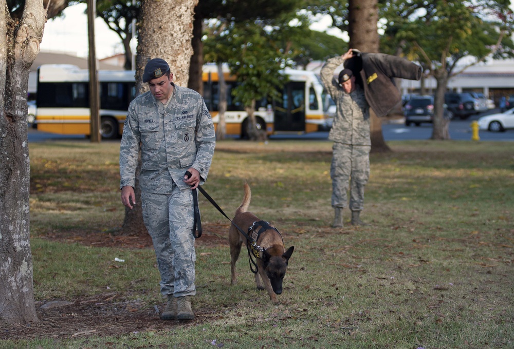 Wahiawa Public Library hosts military working dog demonstration