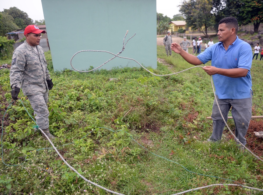National Tree Day brings out New Horizons volunteers to local school