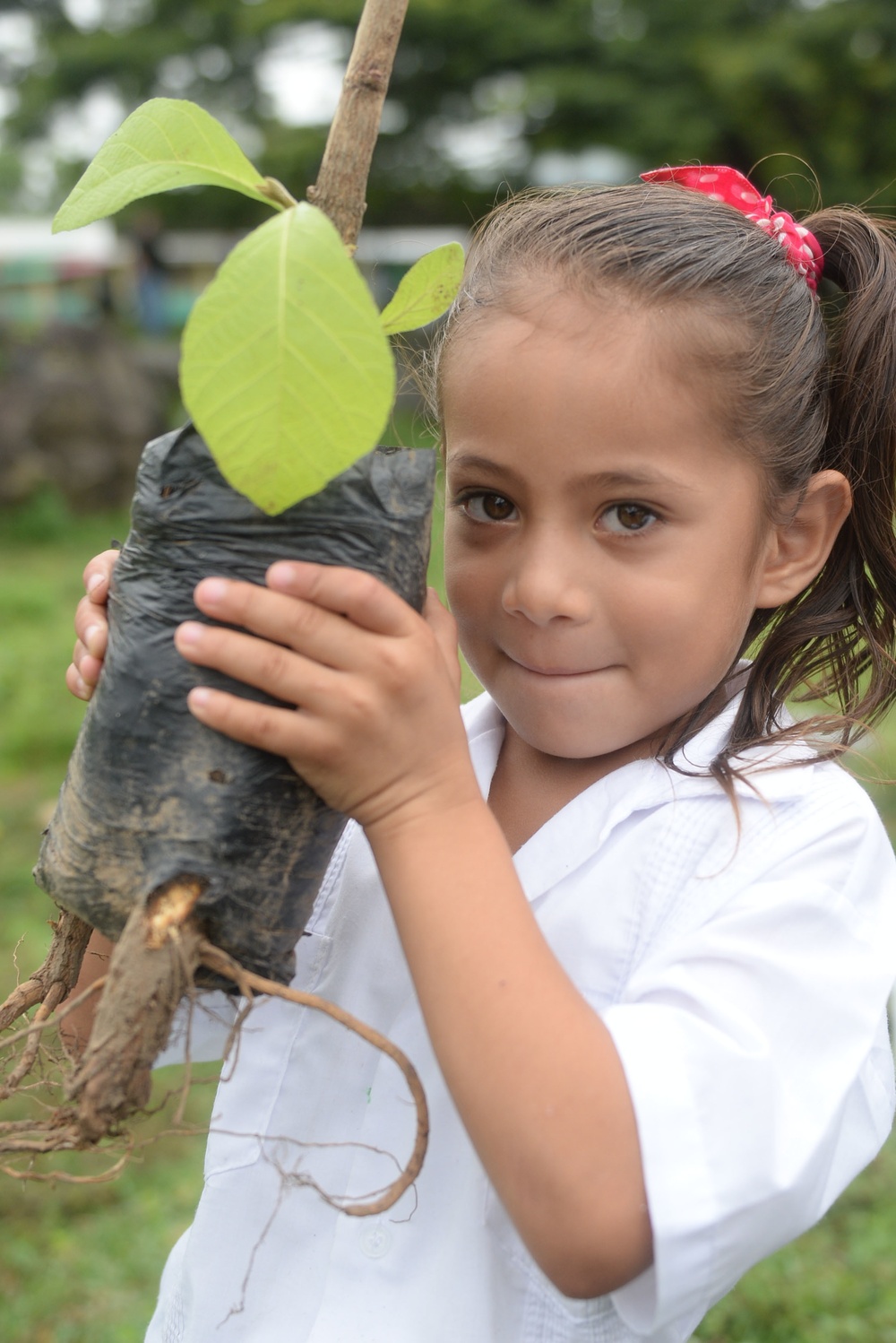 National Tree Day brings out New Horizons volunteers to local school