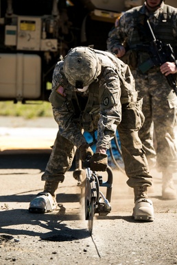 Airborne engineer assault