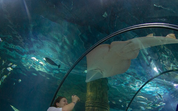 USS George Washington MWR tour in Australia