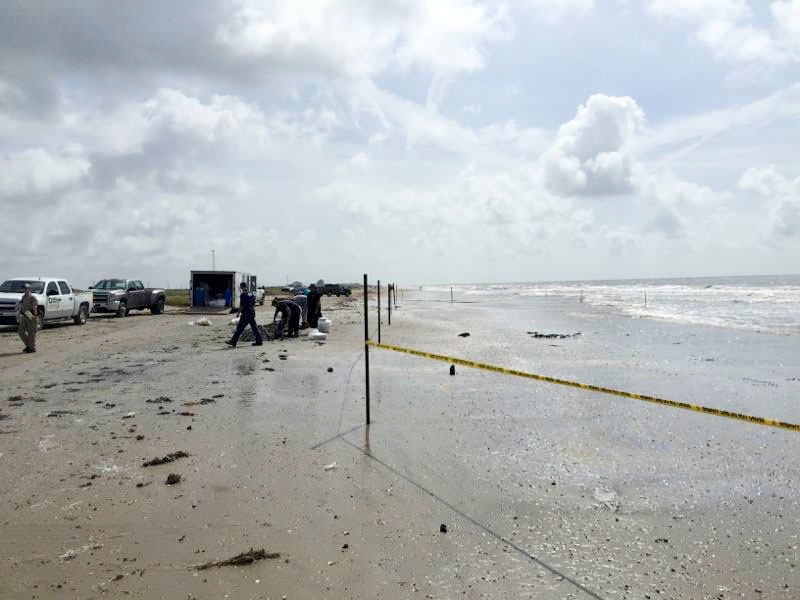 Oil seepage response on Bolivar Peninsula, Texas