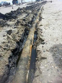Oil seepage response on Bolivar Peninsula, Texas