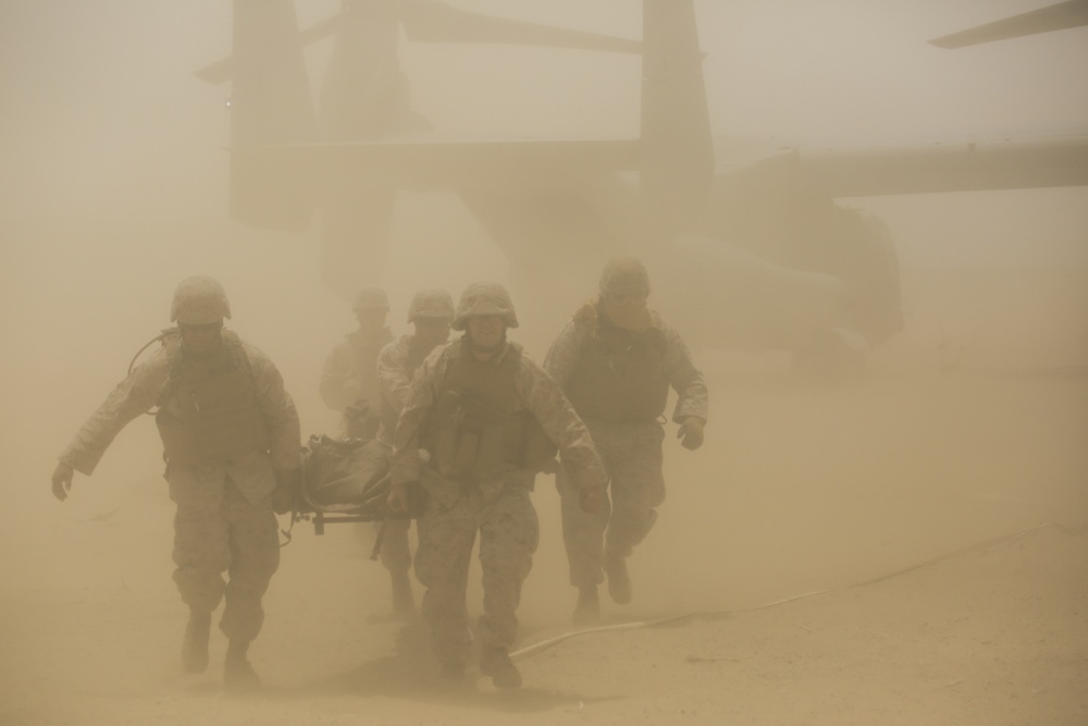 Marines and Sailors participate in a mass heat casualty exercise in support of ITX 4-15