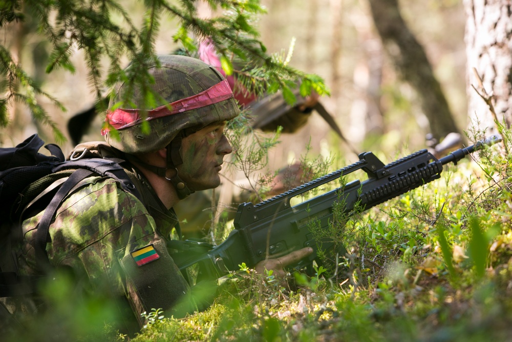 Allies launch offensive operations during Saber Strike 2015