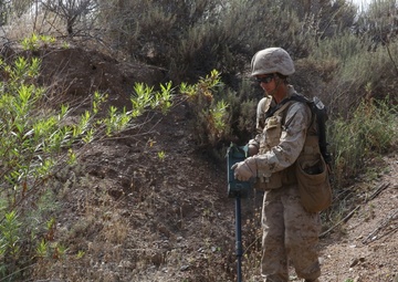 CLB-13 makes a clean sweep