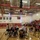 2015 Department of Defense Warrior Games