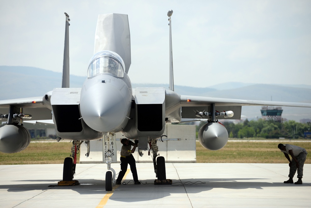 US, NATO partners train at Anatolian Eagle 15