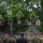 Secretary of defense visits Germany