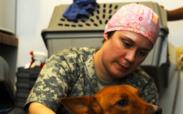 Veterinarians make a difference at small animal clinic