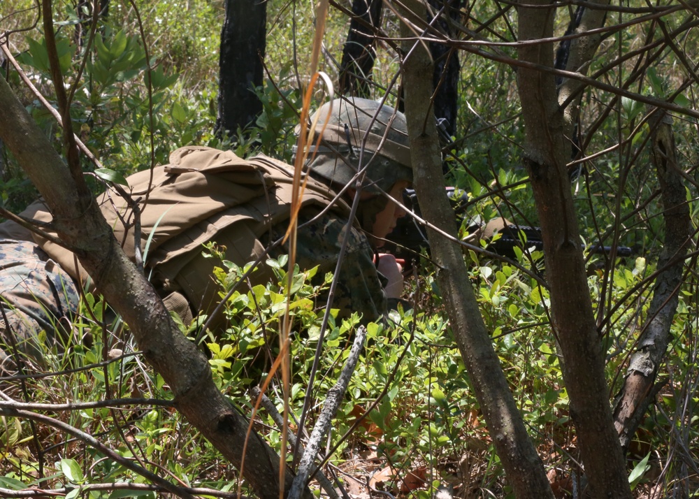 Best riflemen in 2nd Marine Division prove their combat strength in Infantry Rifle Squad Competition