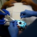 Aviano Dental Squadron keeps teeth pearly white