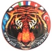 Tigers roaring over Turkey
