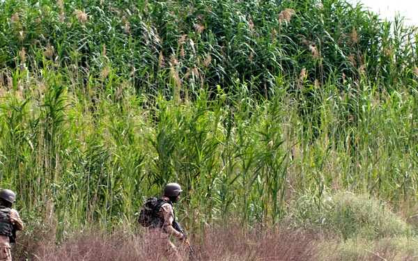 Iraqi army tactical training, Operation Inherent Resolve