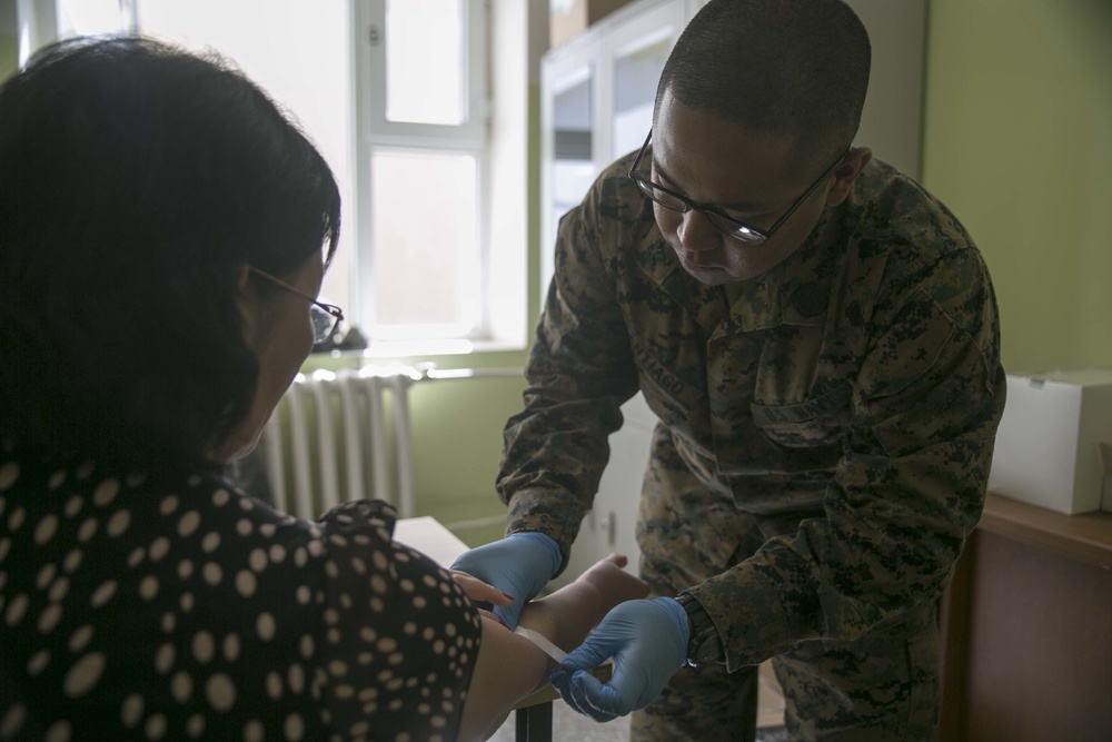 Mongolian Armed Forces, US Service Members Conduct Health Services Support Engagement