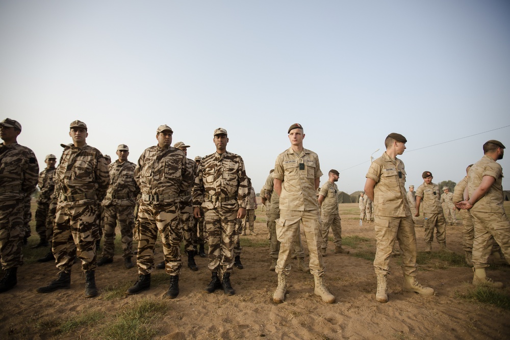 African Lion 15: Tifnit military dog and UN training