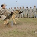 African Lion 15: Tifnit military dog and UN training