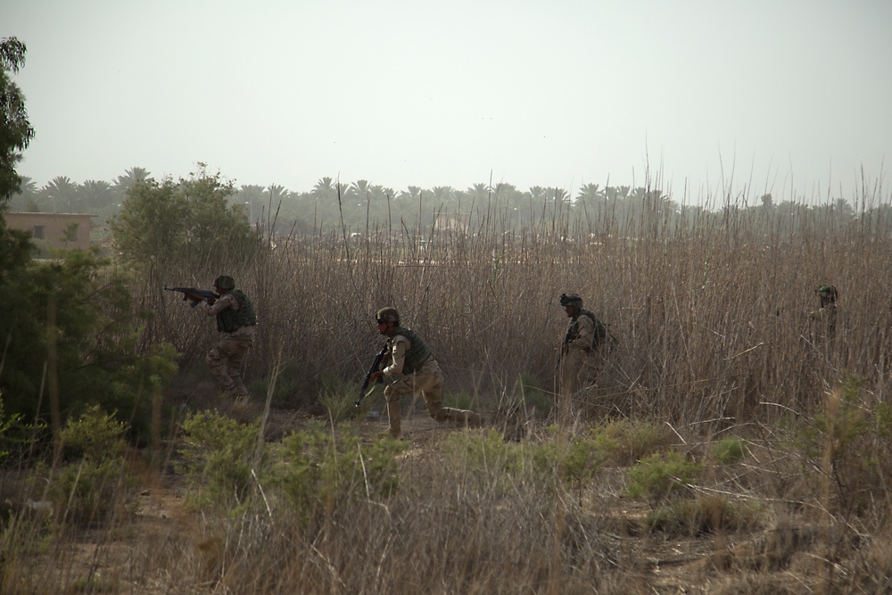 Iraqi army tactical training, Operation Inherent Resolve