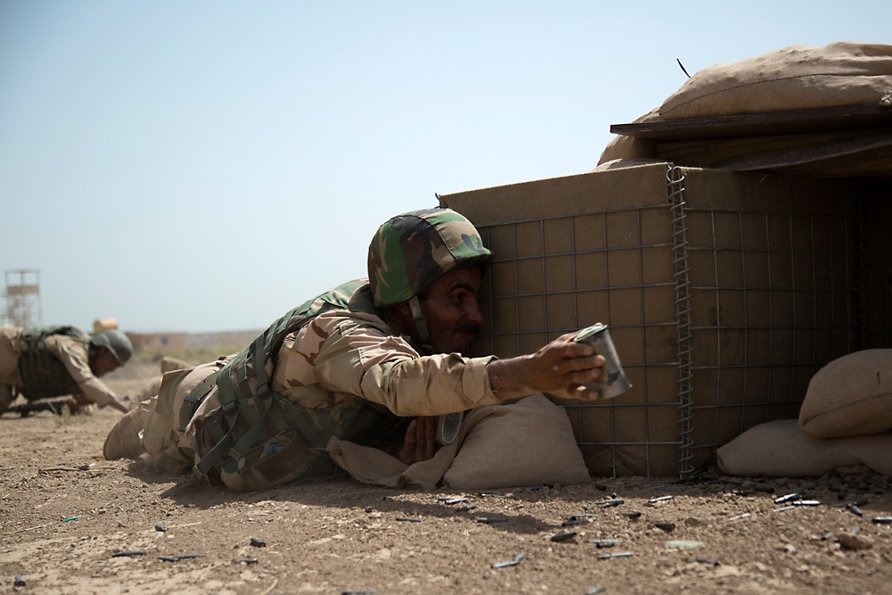 Iraqi army tactical training, Operation Inherent Resolve