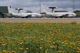 Component challenges the Arctic