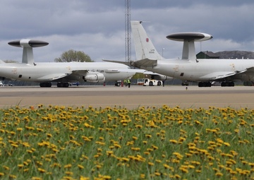 Component challenges the Arctic