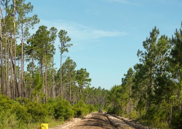 8th ESB conducts a road project