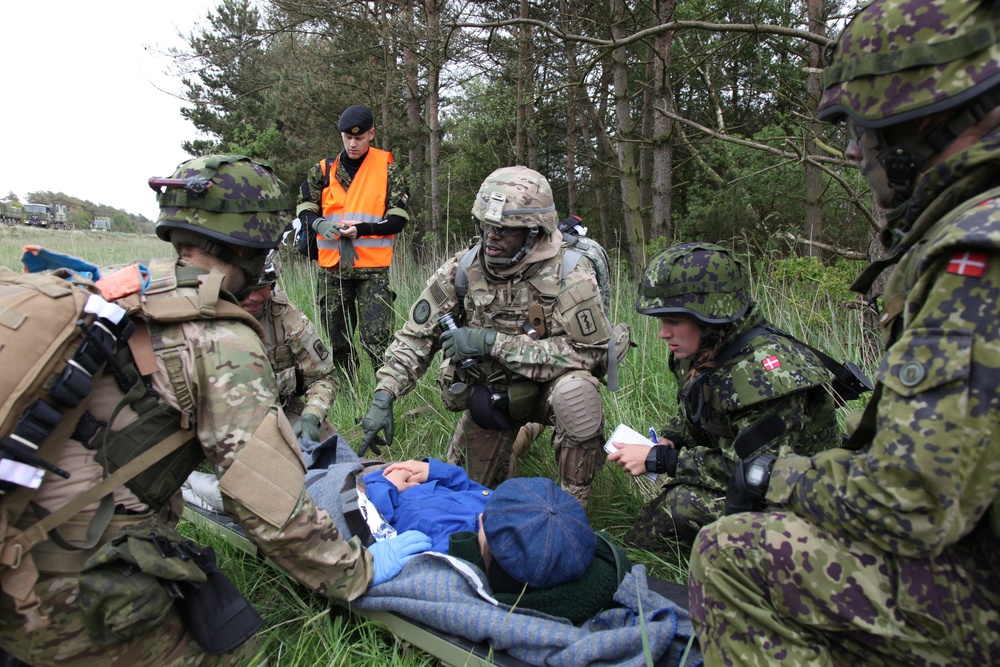 21st TSC’s 30th Medical Brigade Soldiers train with Danish army during Brave Lion 15