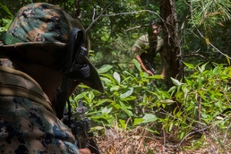 Opposition forces; a combat mindset