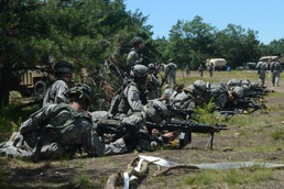 Sappers lead the way for infantry