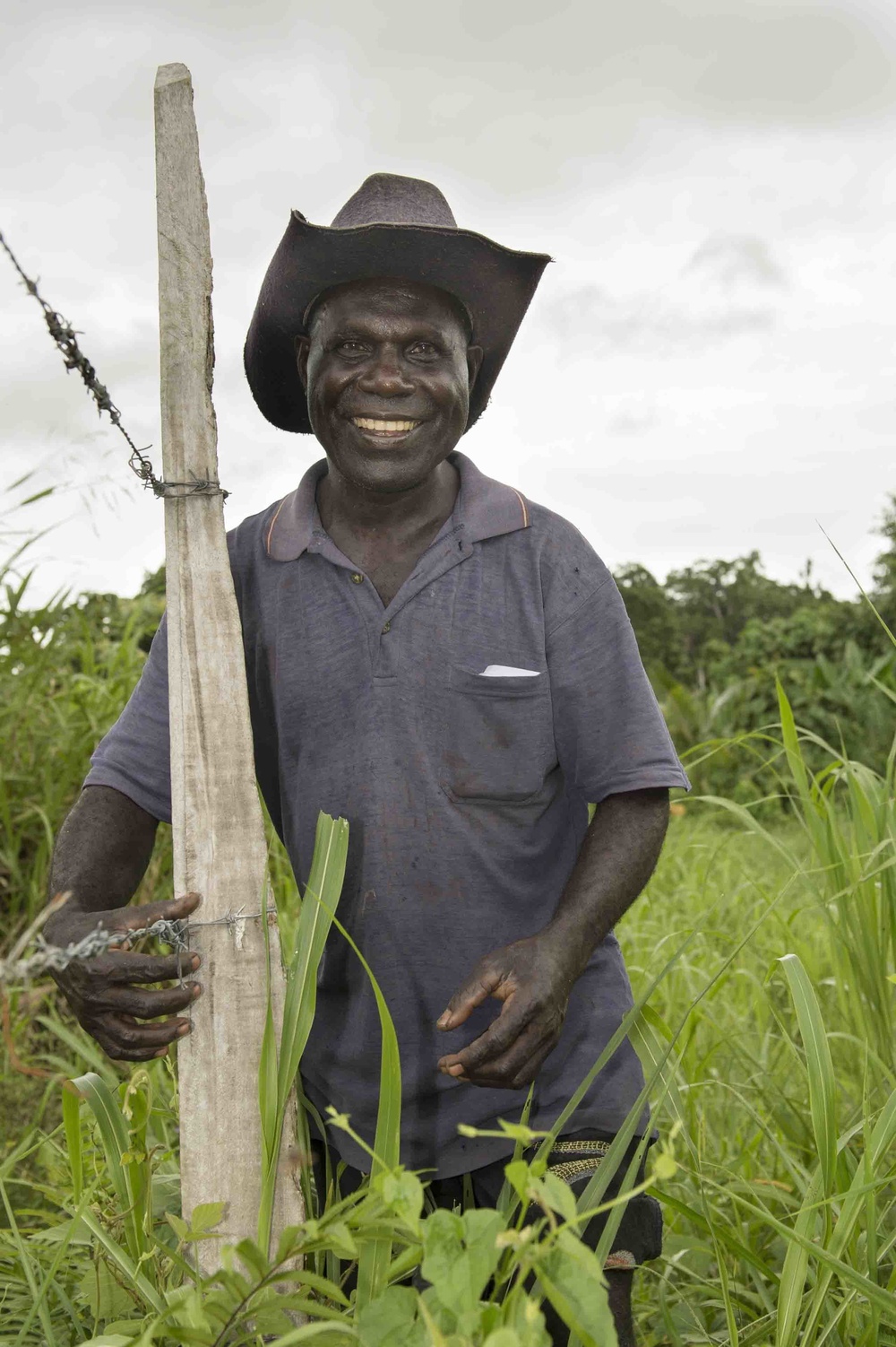Setting up veterinarian activities in Arawa, Papua New Guinea, for Pacific Partnership 2015
