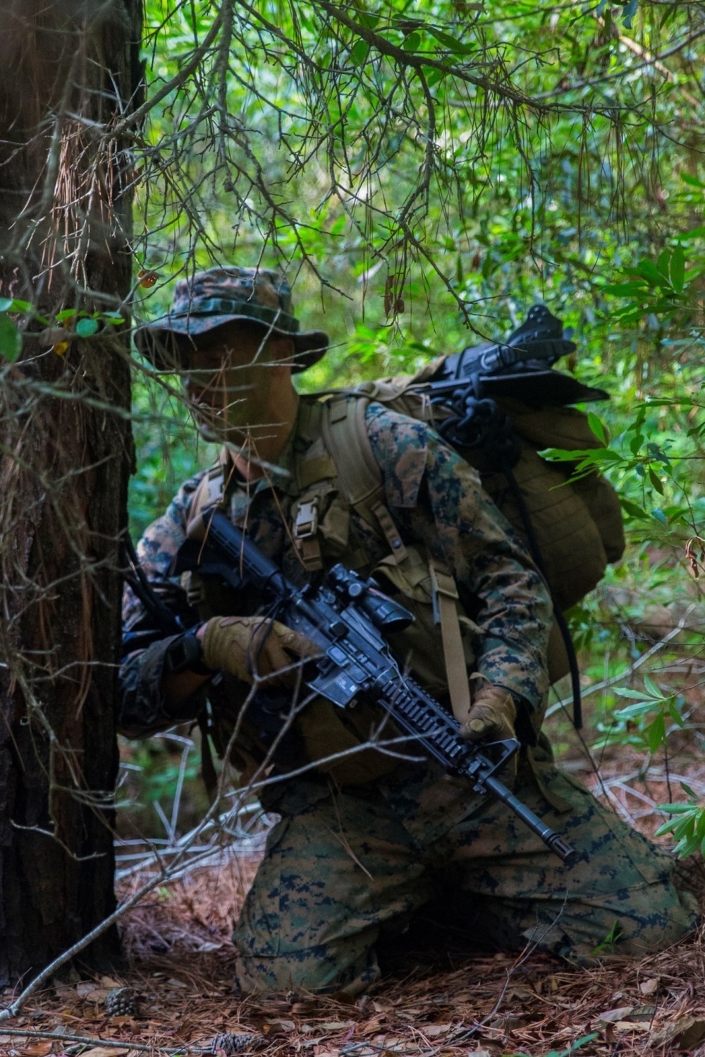 DVIDS - News - Swift, Silent, Deadly; 2nd Recon infiltrates the enemy