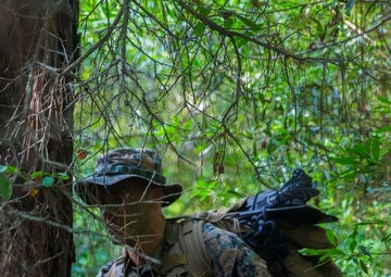 Swift, Silent, Deadly; 2nd Recon infiltrates the enemy