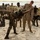 No Limits: U.S. Marines, Gabonese train at Cooperative Security Location