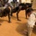 No Limits: U.S. Marines, Gabonese train at Cooperative Security Location