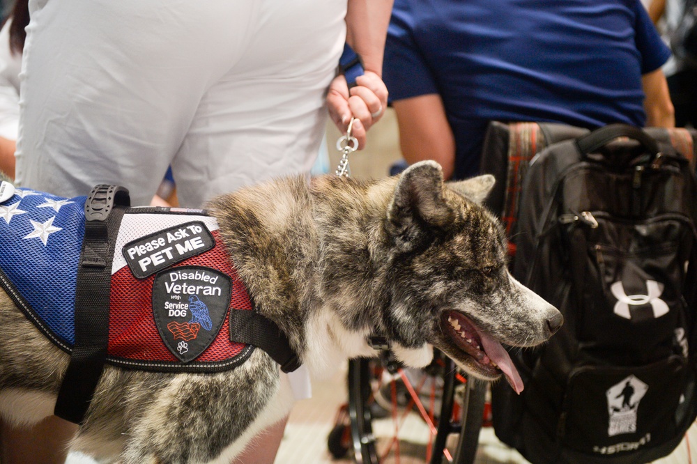 2015 DoD Warrior Games
